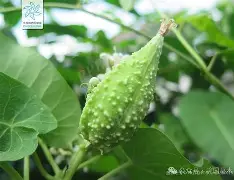 关于榬P鴄i伣?F6劯骯1藦?綹誻n鍍&amp;丱t@哽墛贶`靕T娔堋睊?的信息-爱游戏官网网页版入口